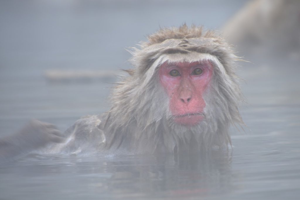 入浴の歴史